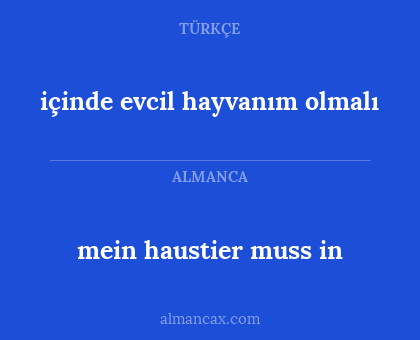 içinde evcil hayvanım olmalı - mein haustier muss in