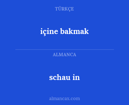schau in - içine bakmak