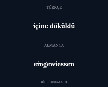 içine döküldü - eingewiessen