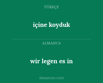 içine koyduk - wir legen es in