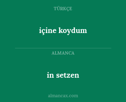in setzen - içine koydum
