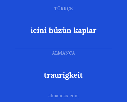 icini hüzün kaplar - traurigkeit