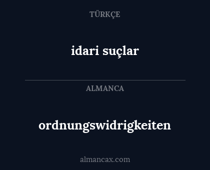 idari suçlar - ordnungswidrigkeiten