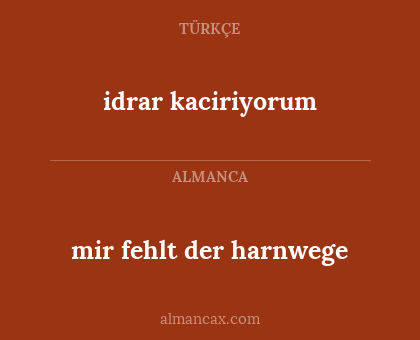 idrar kaciriyorum - mir fehlt der harnwege