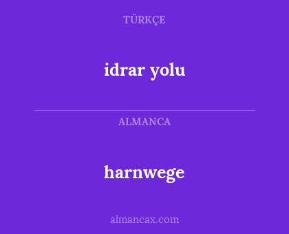 harnwege - idrar yolu
