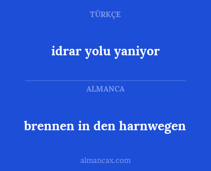 brennen in den harnwegen - idrar yolu yaniyor