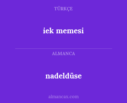 iek memesi - nadeldüse