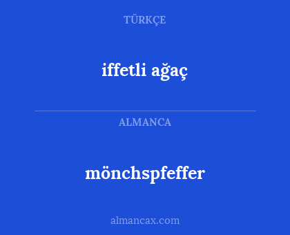 iffetli ağaç - mönchspfeffer