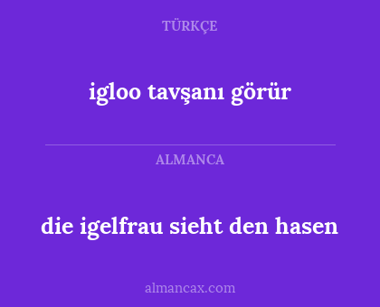 die igelfrau sieht den hasen - igloo tavşanı görür