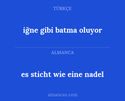 es sticht wie eine nadel - iğne gibi batma oluyor