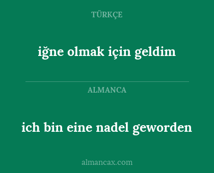 ich bin eine nadel geworden - iğne olmak için geldim