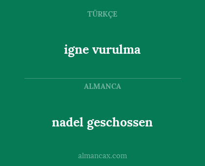 nadel geschossen - igne vurulma