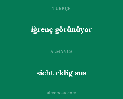 sieht eklig aus - iğrenç görünüyor