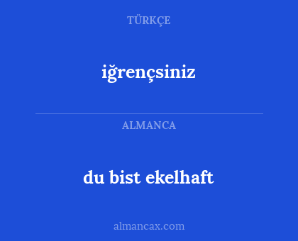 du bist ekelhaft - iğrençsiniz