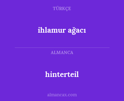ihlamur ağacı - hinterteil
