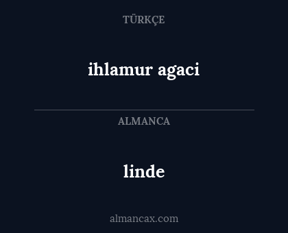 ihlamur agaci - linde