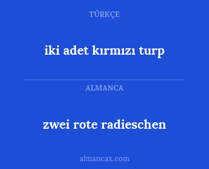 zwei rote radieschen - iki adet kırmızı turp