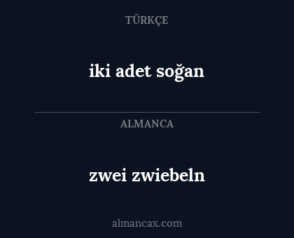 zwei zwiebeln - iki adet soğan