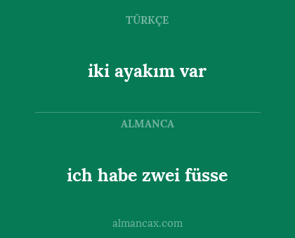 iki ayakım var - ich habe zwei füsse