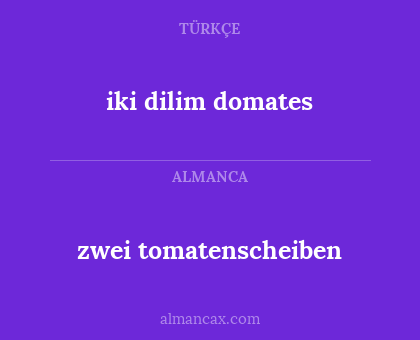 iki dilim domates - zwei tomatenscheiben