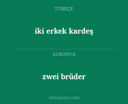 zwei brüder - iki erkek kardeş