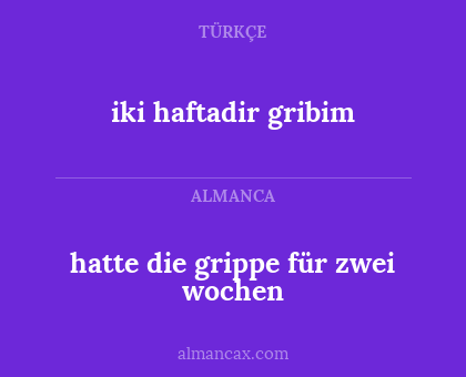 iki haftadir gribim - hatte die grippe für zwei wochen