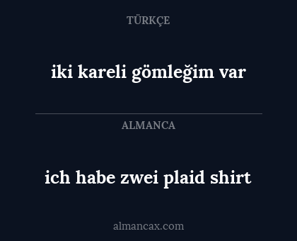 iki kareli gömleğim var - ich habe zwei plaid shirt