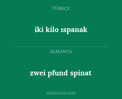 iki kilo ıspanak - zwei pfund spinat