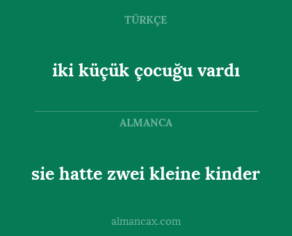 sie hatte zwei kleine kinder - iki küçük çocuğu vardı
