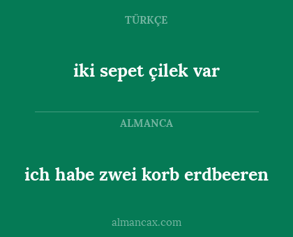 iki sepet çilek var - ich habe zwei korb erdbeeren
