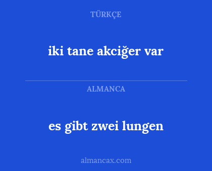 es gibt zwei lungen - iki tane akciğer var