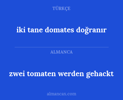 zwei tomaten werden gehackt - iki tane domates doğranır