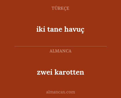 zwei karotten - iki tane havuç