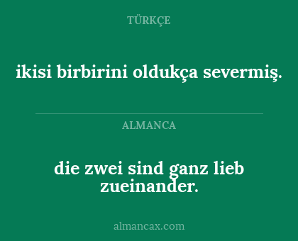 ikisi birbirini oldukça severmiş. - die zwei sind ganz lieb zueinander.