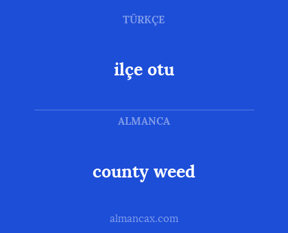 county weed - ilçe otu