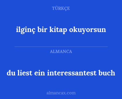 ilginç bir kitap okuyorsun - du liest ein interessantest buch