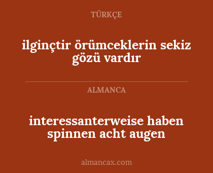 ilginçtir örümceklerin sekiz gözü vardır - interessanterweise haben spinnen acht augen