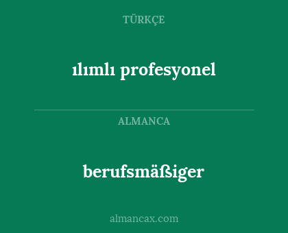 berufsmäßiger - ılımlı profesyonel