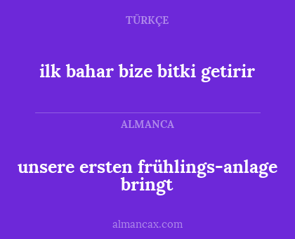 ilk bahar bize bitki getirir - unsere ersten frühlings-anlage bringt