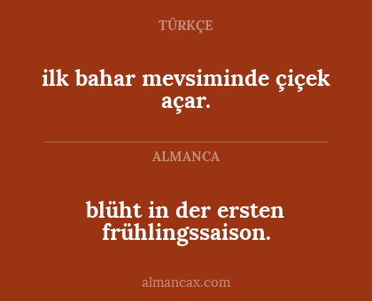 blüht in der ersten frühlingssaison. - ilk bahar mevsiminde çiçek açar.