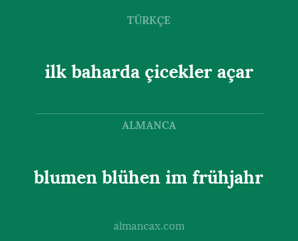 blumen blühen im frühjahr - ilk baharda çicekler açar
