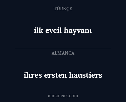 ihres ersten haustiers - ilk evcil hayvanı
