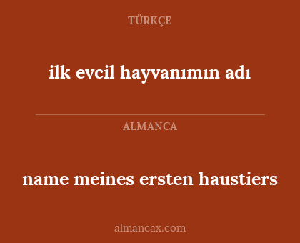 name meines ersten haustiers - ilk evcil hayvanımın adı