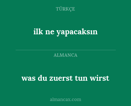 was du zuerst tun wirst - ilk ne yapacaksın