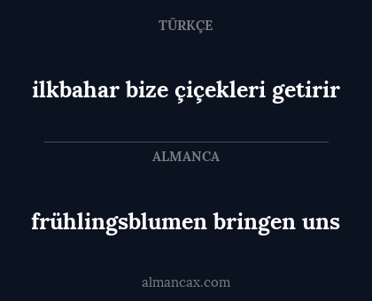 frühlingsblumen bringen uns - ilkbahar bize çiçekleri getirir