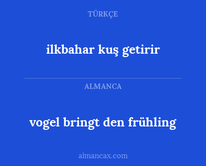 vogel bringt den frühling - ilkbahar kuş getirir