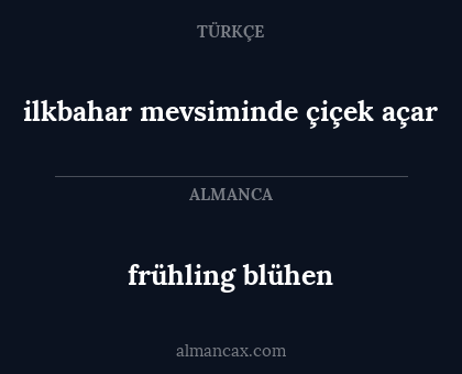 ilkbahar mevsiminde çiçek açar - frühling blühen
