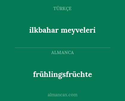ilkbahar meyveleri - frühlingsfrüchte