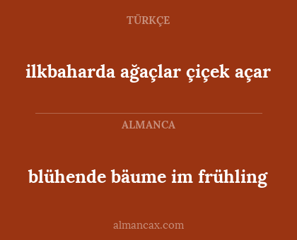 blühende bäume im frühling - ilkbaharda ağaçlar çiçek açar