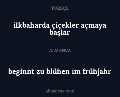 ilkbaharda çiçekler açmaya başlar - beginnt zu blühen im frühjahr
